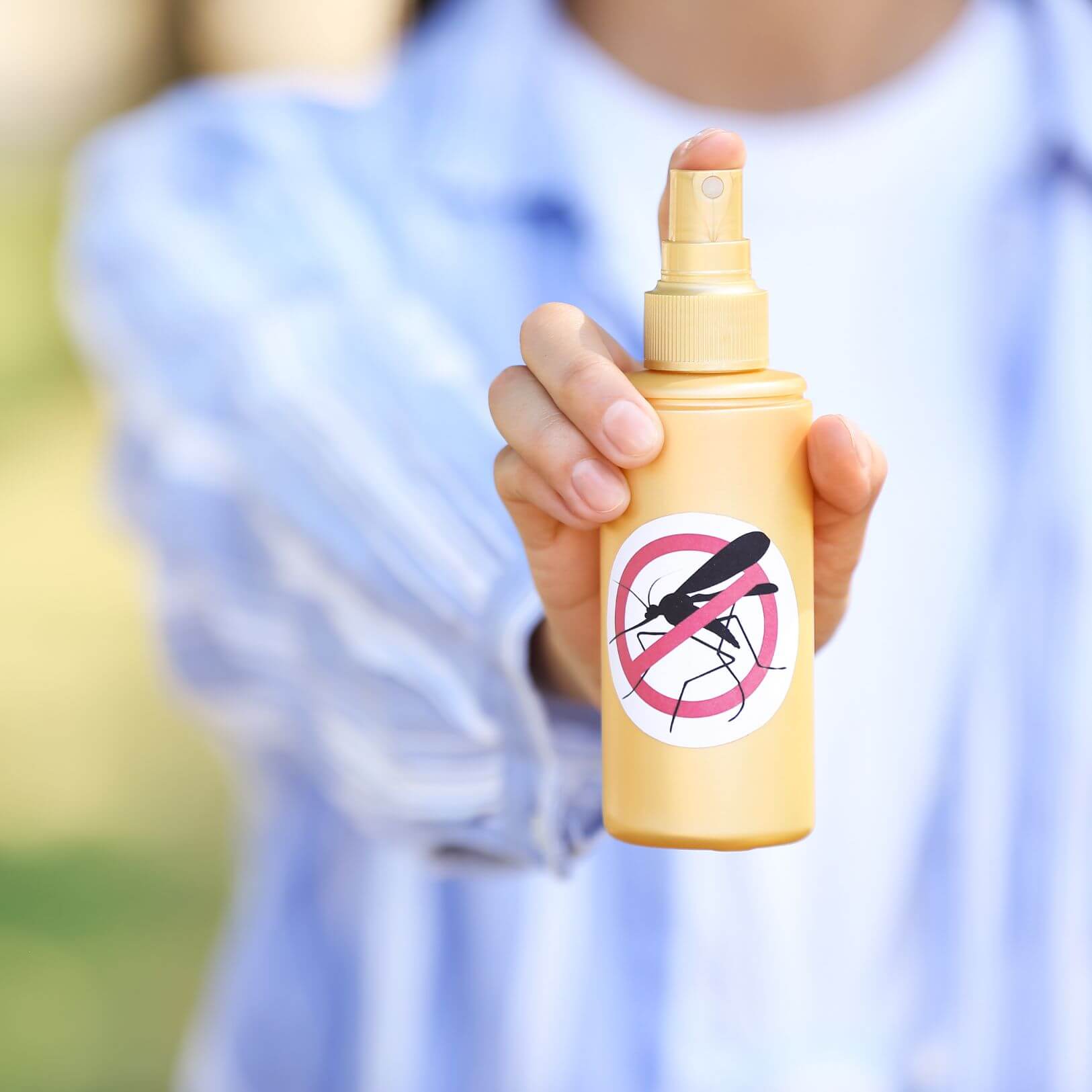 5 Natural Insect Repellent Tips